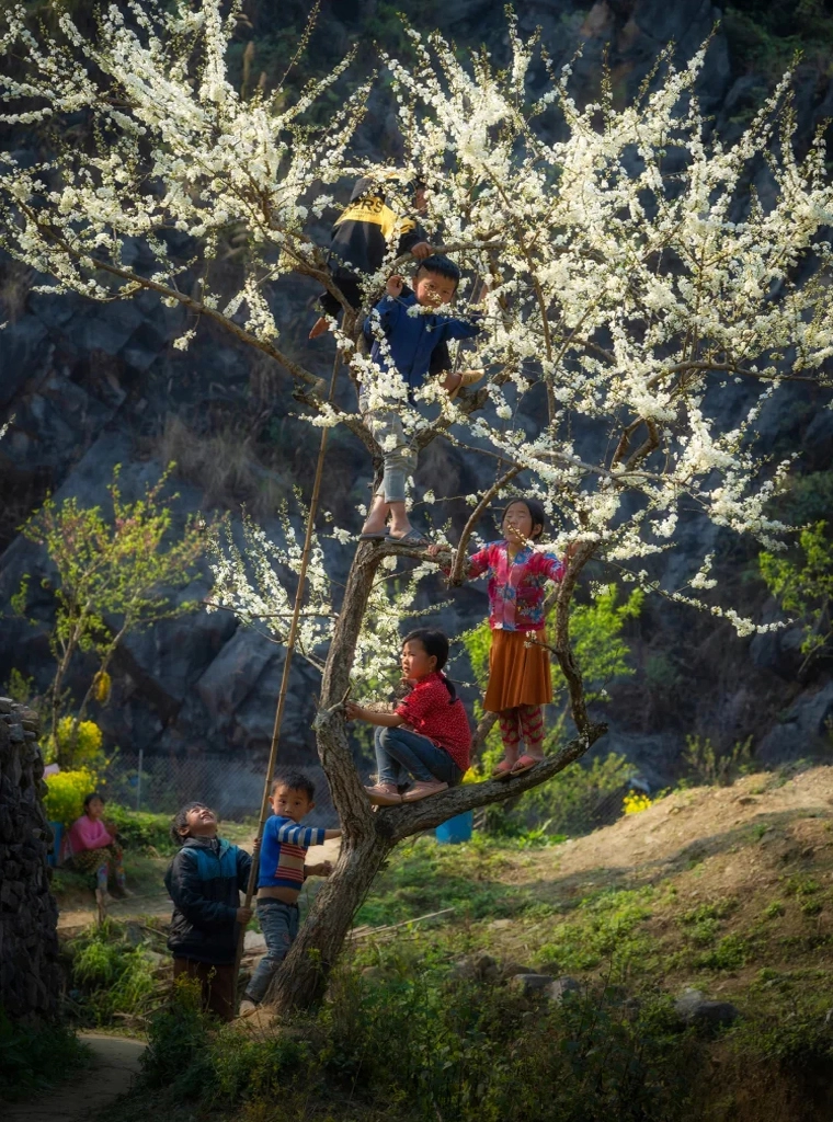 Ha Giang