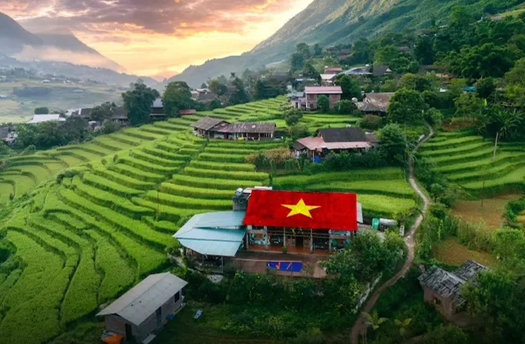 Sapa