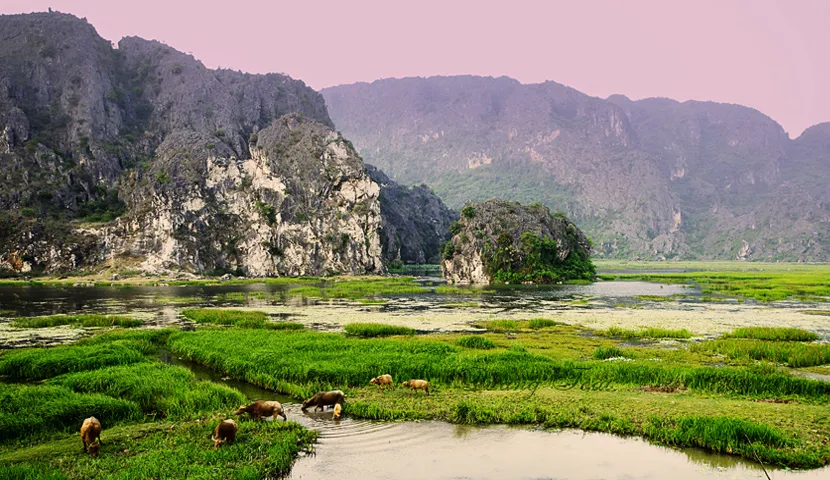 Voyage au Vietnam en janvier