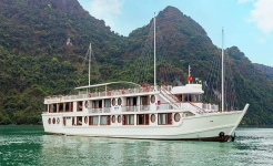 Calypso Cruise