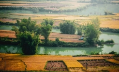 Cao bang