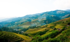 Cau ba nha