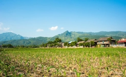 Nghia lo muong lo