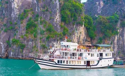 Renea Cruise - Overview