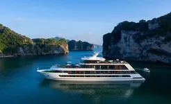 Stellar of the Seas