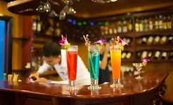 Swan Cruise - bar