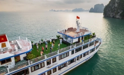 Swan Cruise