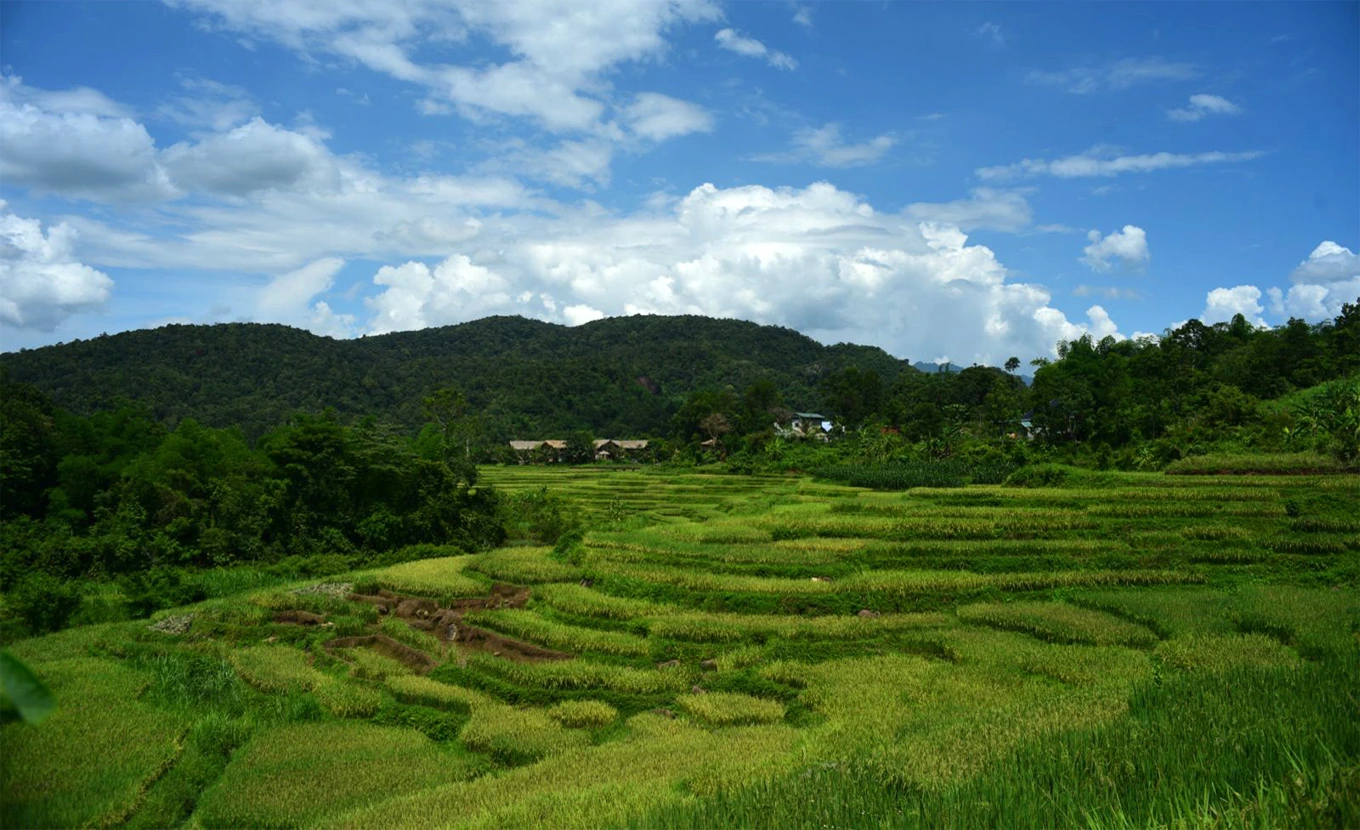 Circuit decouverte Hanoi - Mai Chau