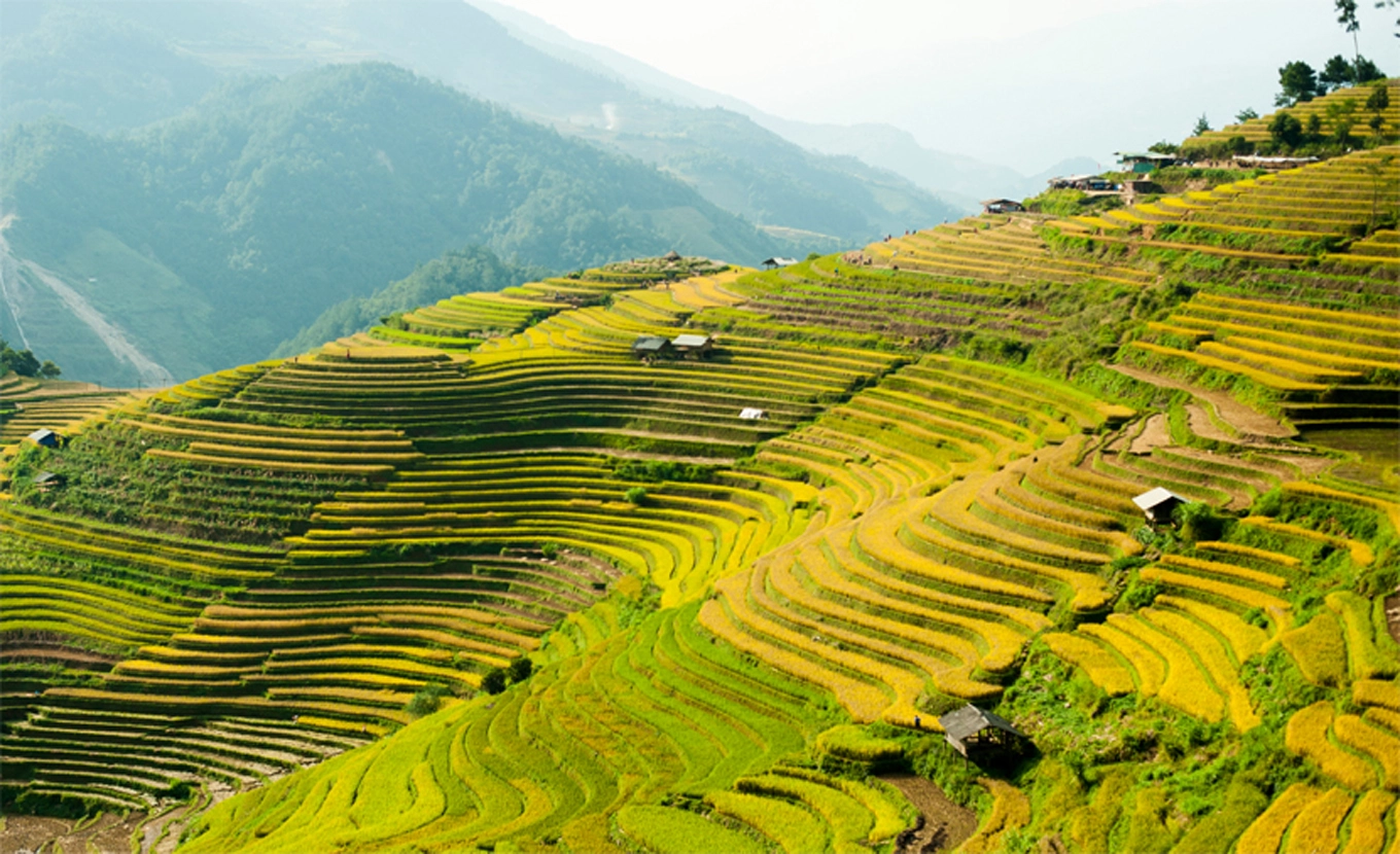 Circuit Mu Cang Chai et Sapa